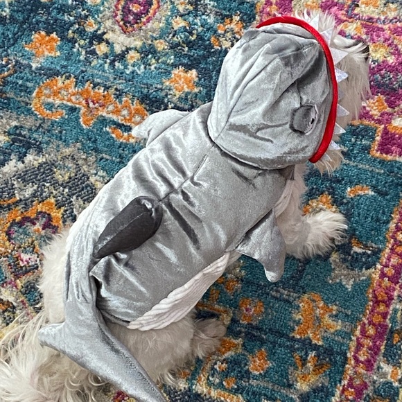 🦈🐶 Baby Shark Doggy Costume Size Small - Picture 3 of 8